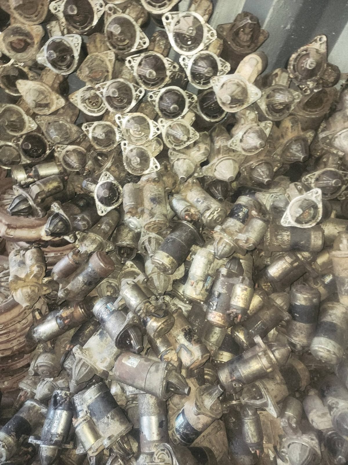 They have just arrived
