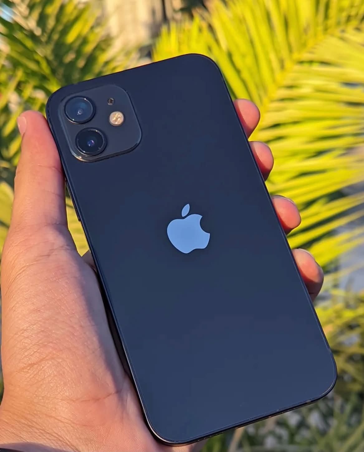 iPhone doazdh sadh