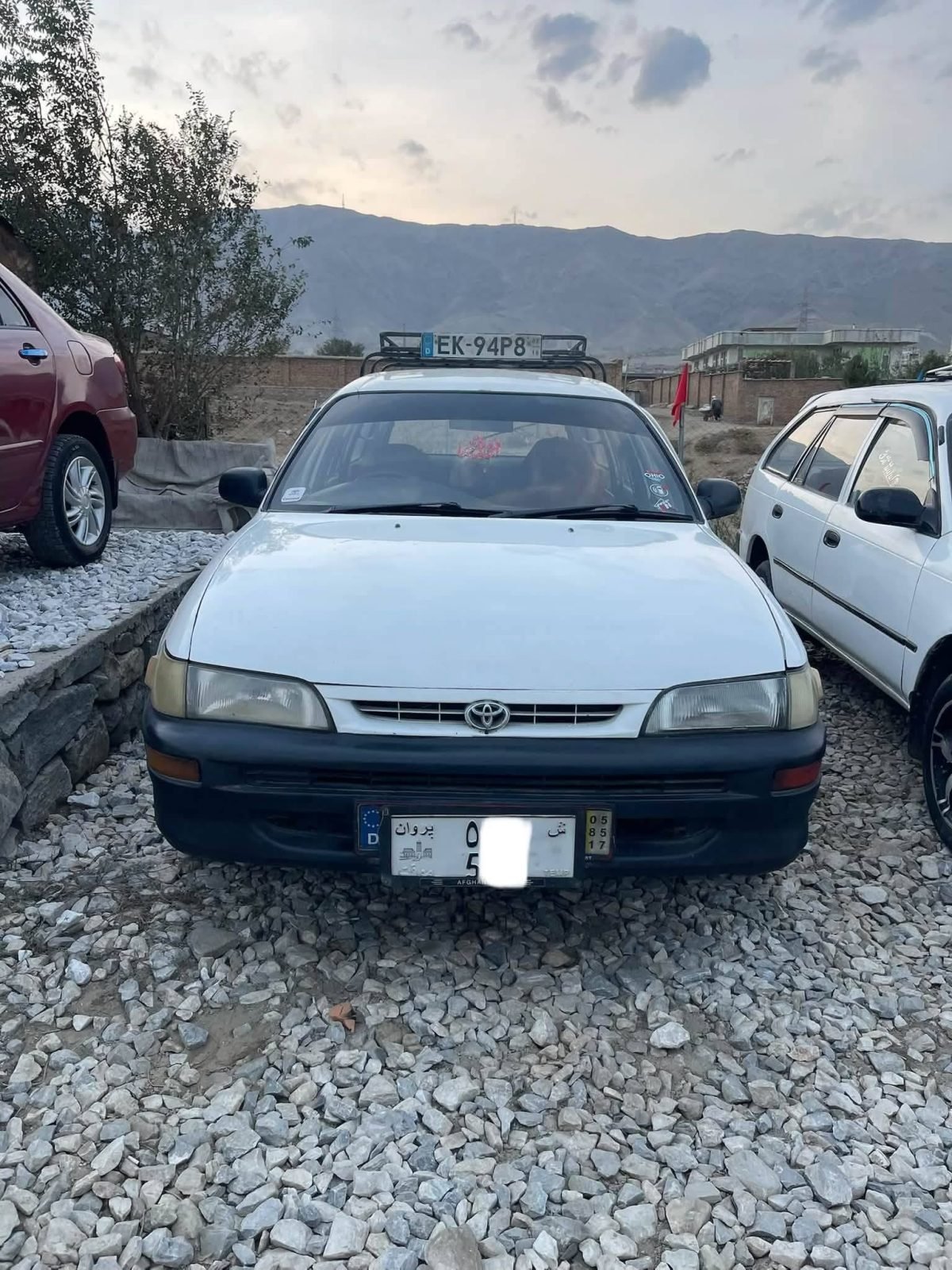 srachh 1995