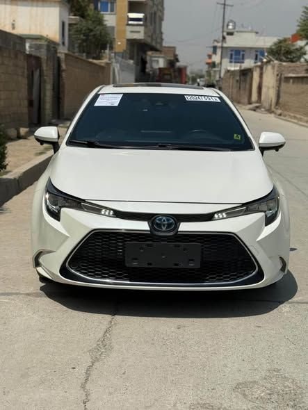 Corolla 2020