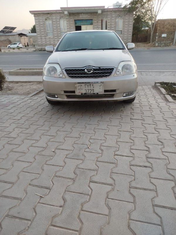 Luxel car sales