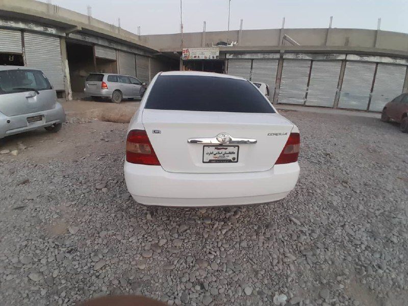 Luxel car sales