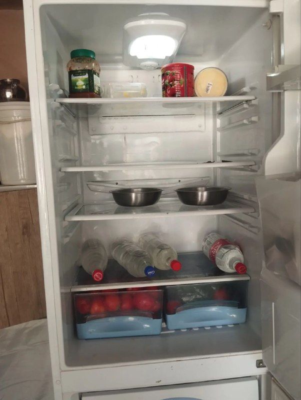 A completely healthy gas company refrigerator