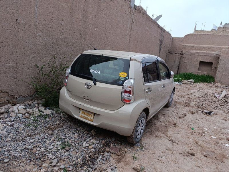 پاسو 2013
