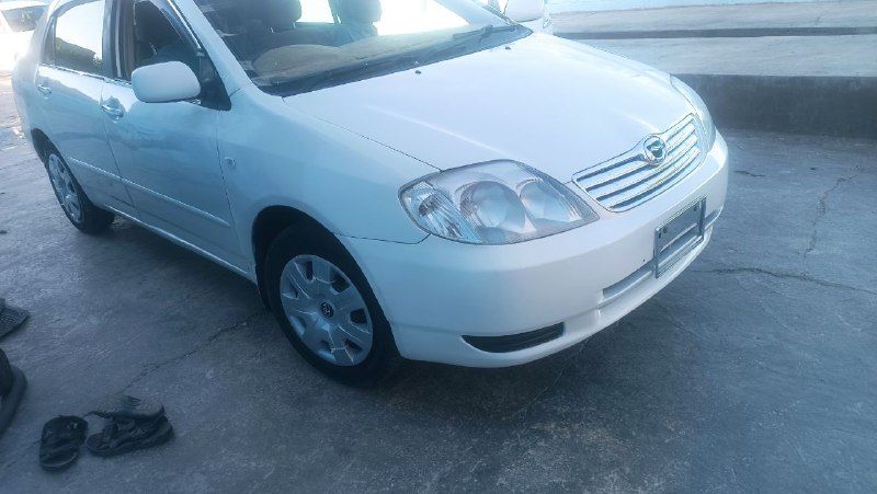 Luxel 2003