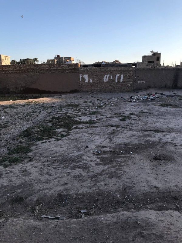 خودی موتر هم مالچه میشه
